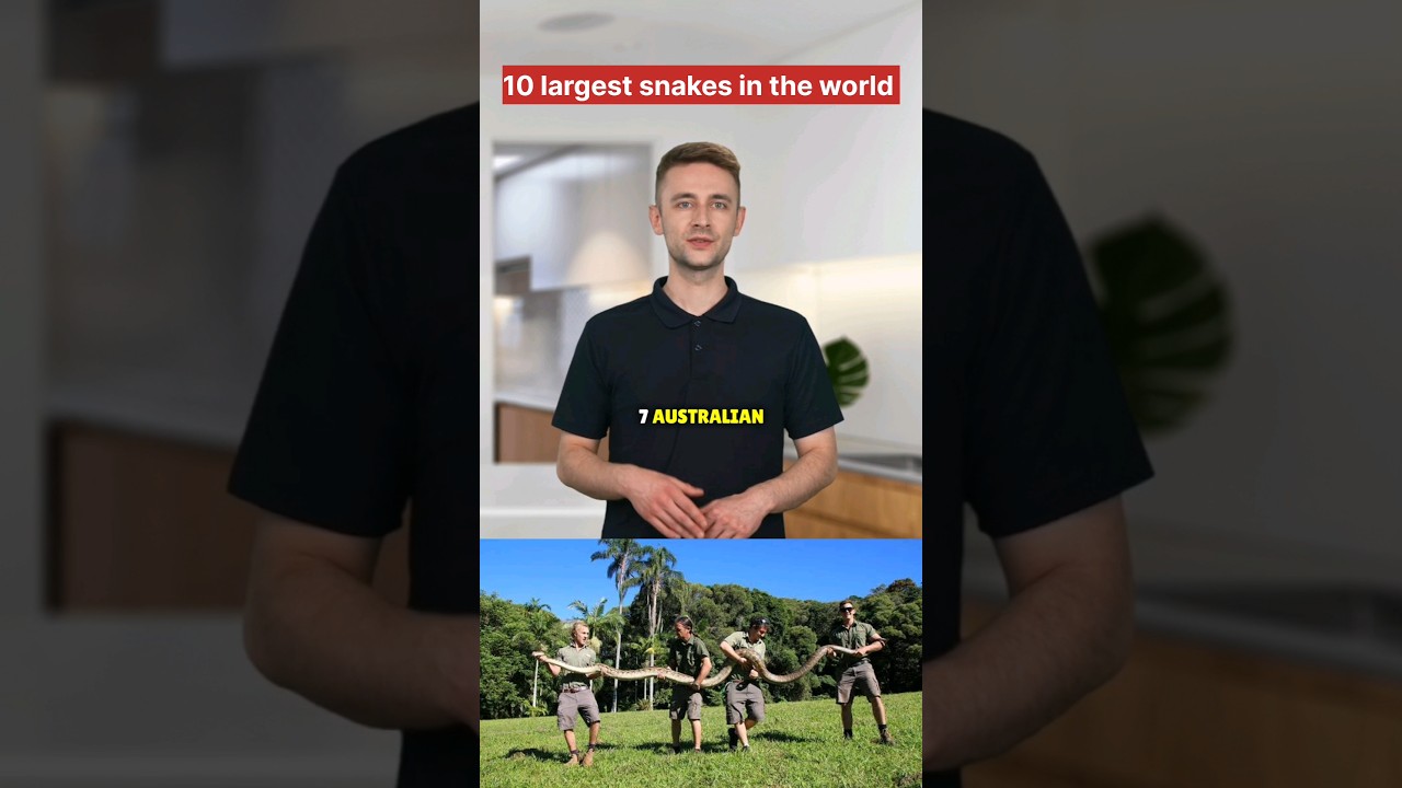 10 largest snakes in the world 🌎 