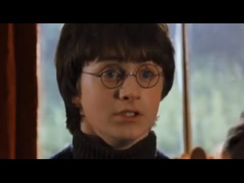 Harry Potter - Návštěva Bordelu (CZ Dabing)
