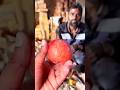 Wood Turning Magic 😳 Making a Perfect Wooden Apple from Scratch!