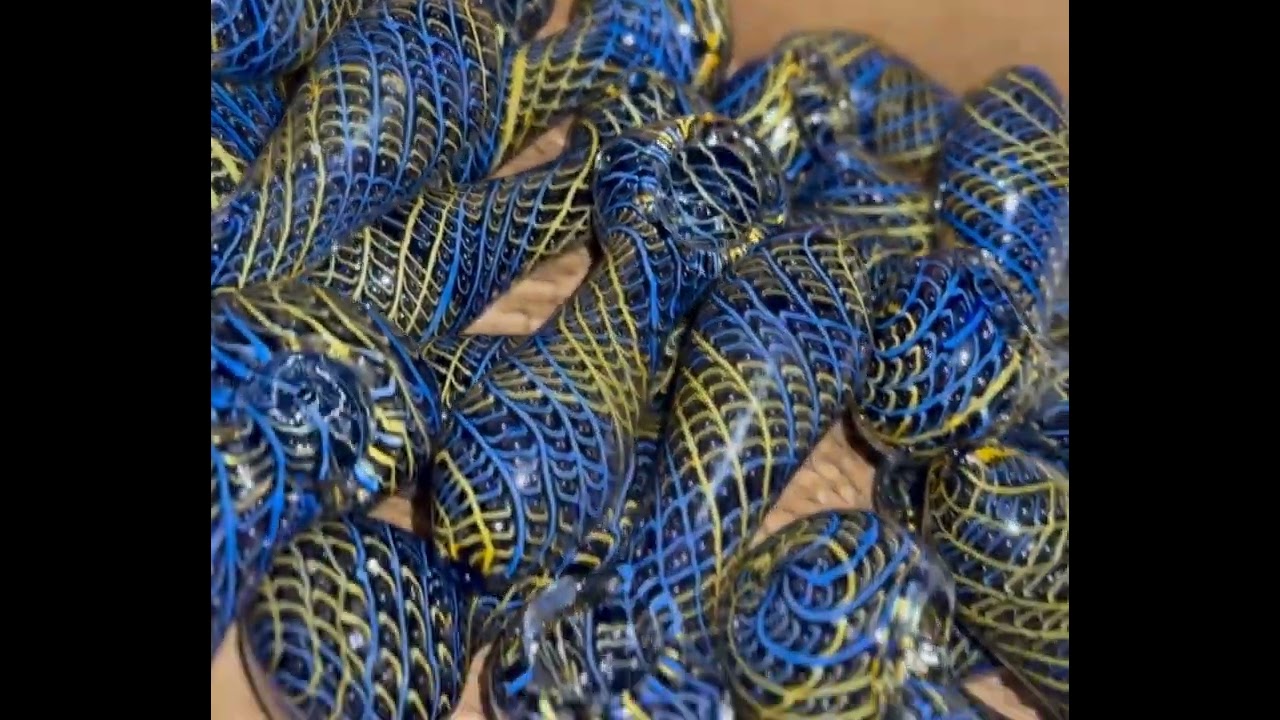 Huge Glass Pipe Sale!