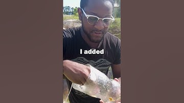 Coke bottle fish trap!