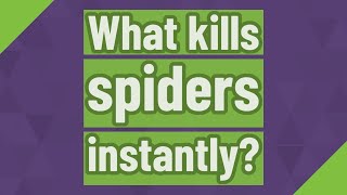What kills spiders instantly?