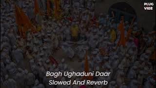 Bagh Ughduni Daar ( Slowed And Reverb ) PLUG N VIBE MARATHI