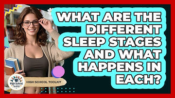 What Are The Different Sleep Stages And What Happens In Each? - High School Toolkit