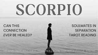 SCORPIO ❤️‍🩹 THEY KNOW IT’S TIME TO COME CLEAN 🧼 & SPEAK THE TRUTH! 😲💬