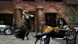 Video thumbnail of "steve stevens - flamenco a go go"