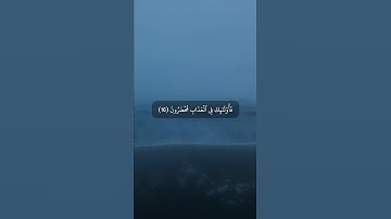 تلاوة هادئة من سورة الروم ( ويوم تقوم الساعة يومئذ يتفرقون ) القارئ عبدالرحمن الحمادي