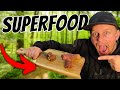 Der beste Snack für unterwegs ohne Zuckerzusatz ❗ Fruchtleder selber machen | Outdoor | Trekking