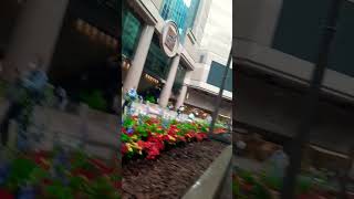 Newly Opened Shop Infront Of Times Square Cwb, Hongkong. Transformers The Ark