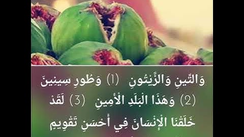 سورة التين بصوت الشيخ وديع اليمني | Al - Teen voice Wadih Yemeni