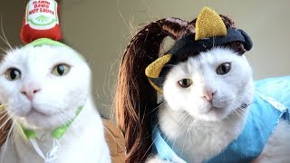 Cat Tries On Halloween Costumes
