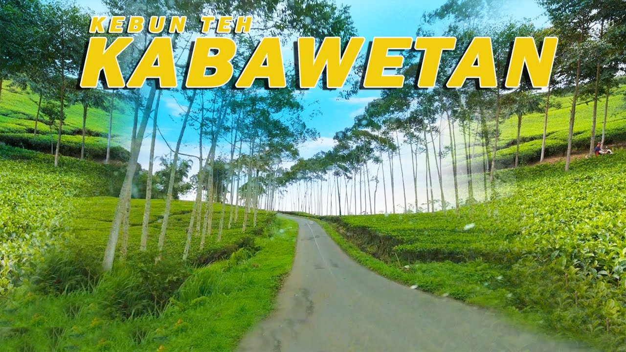 Menuju Kebun Teh Kabawetan Kepahiang