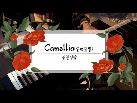 Camellia(동백꽃말) - 불꽃심장 | ※별의 눈물(Stardust) 좋아하는 분들께 추천※ | Covered by Eggpotato