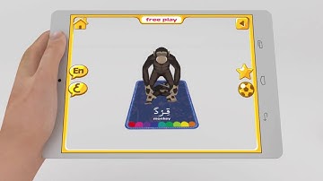 Flashcards Arabic Letters Augmented Reality preview