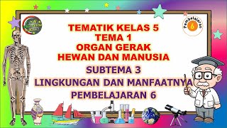 Kelas 5 Tematik : Tema 1 Subtema 3 Pembelajaran 6 (ORGAN GERAK HEWAN DAN MANUSIA)