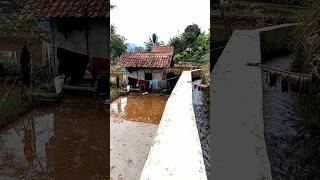 Download Lagu Suasana kampung indah banget,Bikin betah bikin baper bikin rindu para perantau MP3 Download Lagu Suasana kampung indah banget,Bikin betah bikin baper bikin rindu para perantau MP3