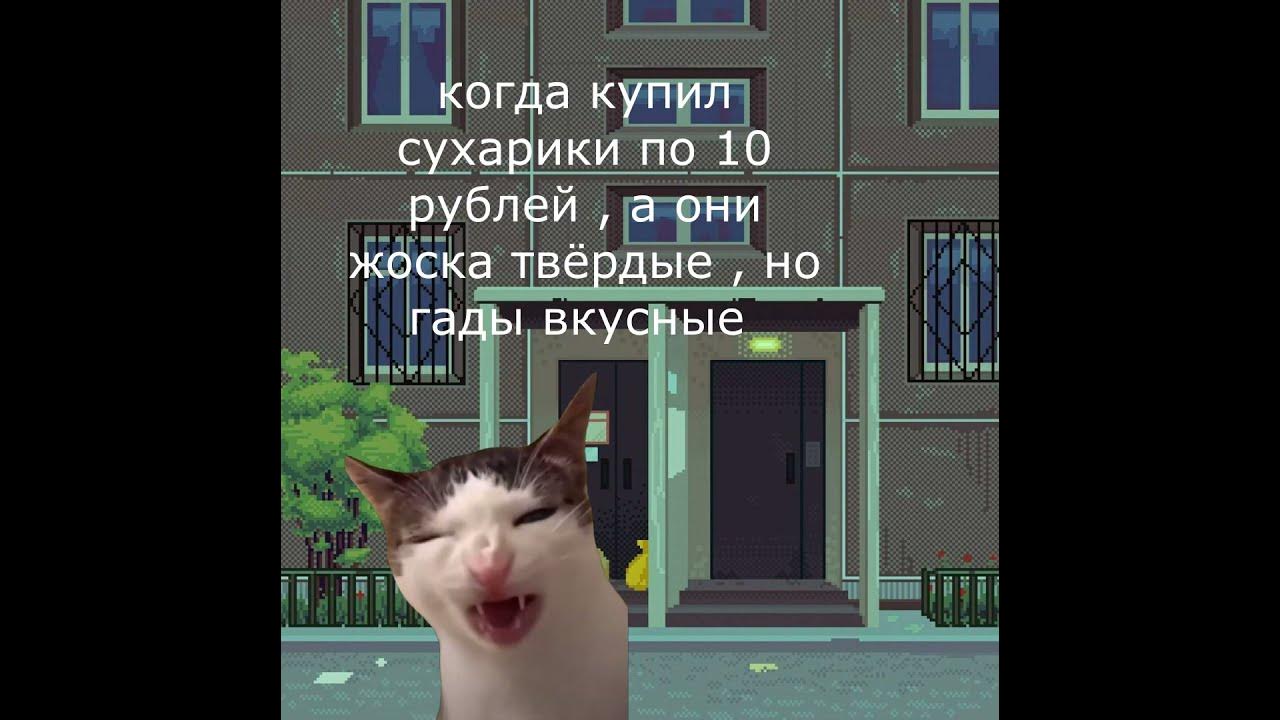 мемный котик - YouTube