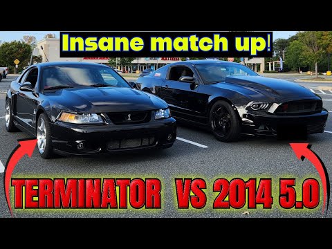 2014 5.0 PULLS UP ON MY TERMINATOR COBRA!!