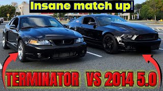 2014 5.0 Pulls Up On My Terminator Cobra