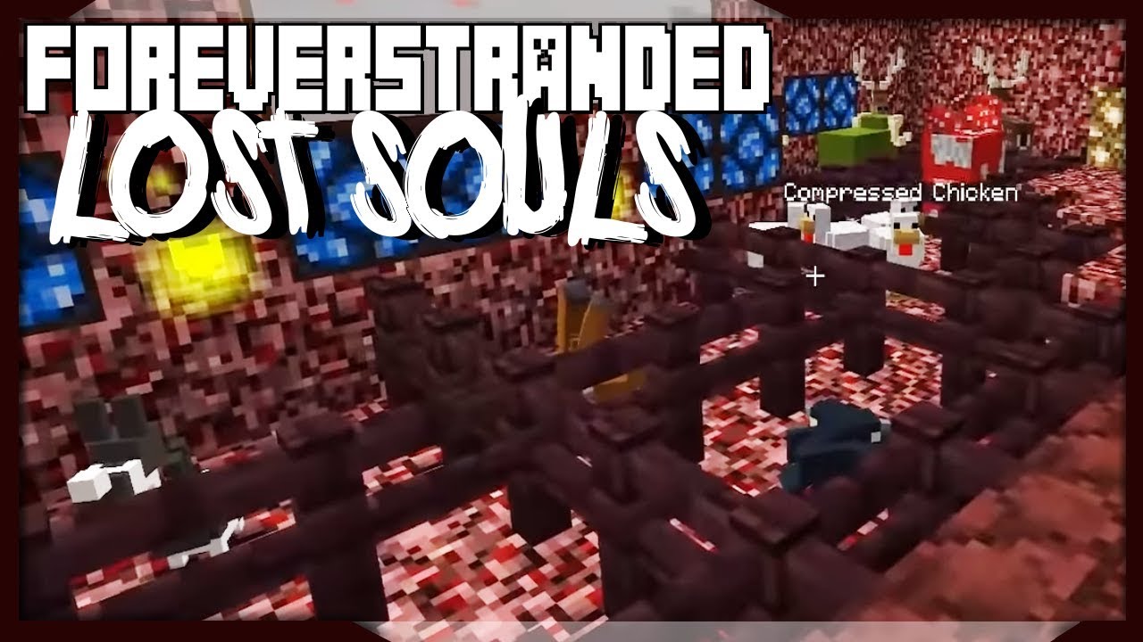 Neue Zoo Eröffnung | 