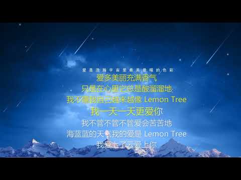 lemon tree-歌词伴奏