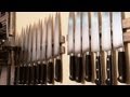 Culinary Foundations: Mastering Chef's Knife Techniques