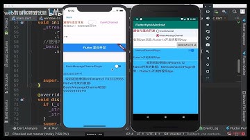 【25年前端项目教程】Flutter从零到一开发，旅游网APP开发实战教程 P76 10 13 本章小结