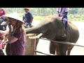Middle of video