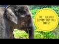The Truth About Elephant Paintings Part 2