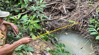 Niat Mancing Lele Lembat Malah Dapat Uang di dalam Sarang