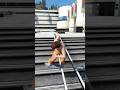 SKATE 3 SICK LINE #skategame #skate3 #skate #gaming #gta #skate2