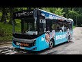 Cab View Bus Line 61 (Touristic Bus), Brasov