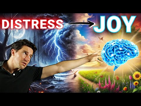 The Neuroscience of