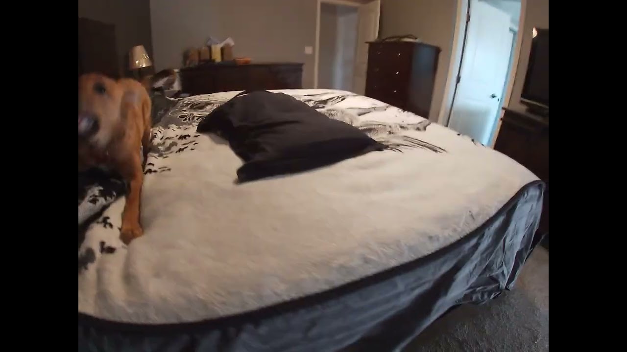 Another Disastrous Episode of Making this Bed!