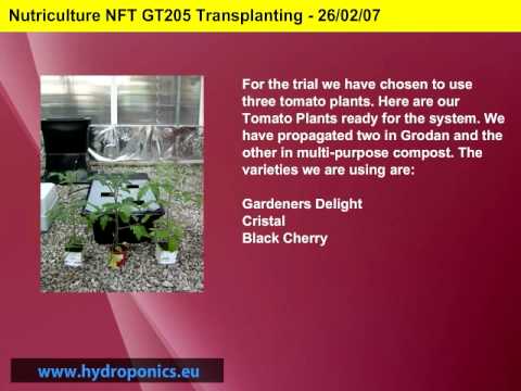 Hydroponics Nutriculture NFT GT205 SET UP