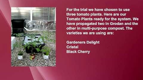 Hydroponics Nutriculture NFT GT205 SET UP