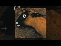 Miniature de la vidéo de la chanson Leper