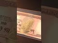 12 October 2025