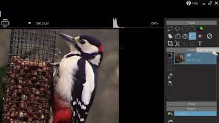 Overview of Franzis CutOut 10 Professional screenshot 3