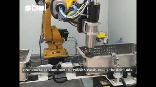 Stial PolishX Series：Precision force redefined.