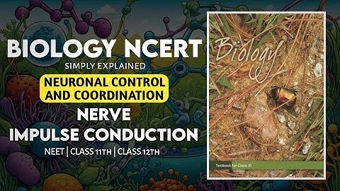 Nerve Impulse Conduction |Neural Control And Coordination#neet#neet2026#neetpreparation #neetbiology