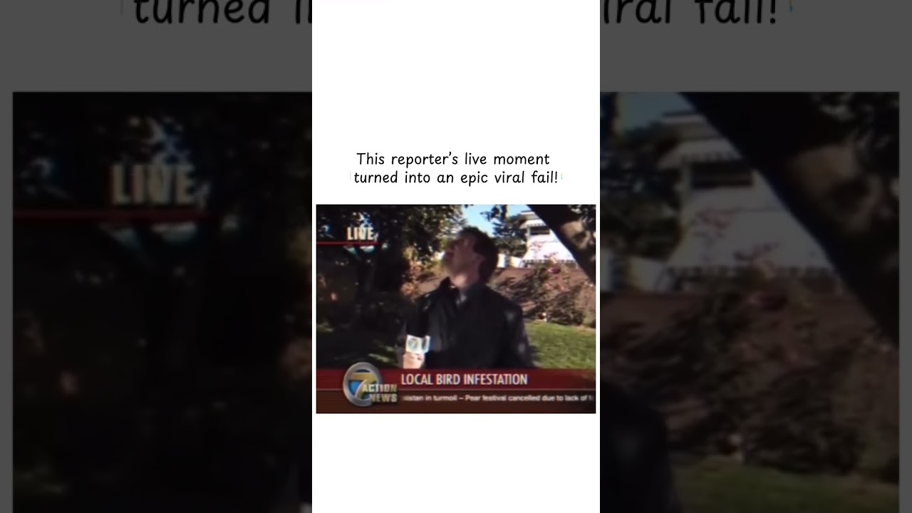 Bird Poops in Reporter’s Mouth Live on TV! Hilarious News Bloopers - CreatureCops