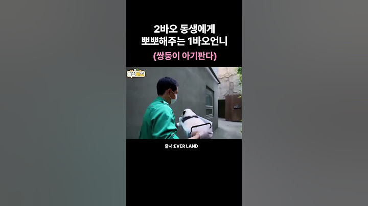 2바오 동생에게 뽀뽀해주는 1바오언니🩷 아이바오와 사육사님들에 사랑으로 쑥쑥크는 사랑스런 쌍둥바오들💛
