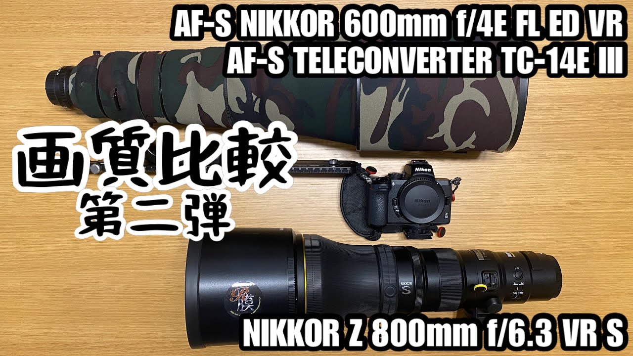 画質比較】『 600mm f/4E FL 』vs『 Z 800mm f/6.3 VR S 』第二弾
