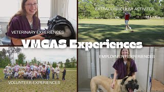 VMCAS Experiences - Animal, Employment, Volunteer, Veterinary, Research, and Extracurricular