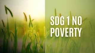 Introduction to SDG 1|NO POVERTY|Sustainability
