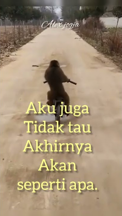 JANGAN PUTUS ASA #shortvideo #shorts #monyet #motivation