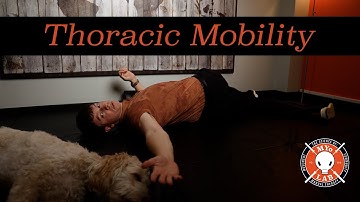Upper Back Mobility Exercises: Side Lying Windmills & Open Book | MYo Lab Health & Wellness