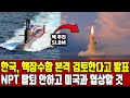 한국 핵잠수함 본격 검토한다고 발표한 상황 NPT 탈퇴 안하고 미국과 협상할 것이라고 밝힌 이유 한국 핵잠수함 본격 검토한다고 발표한 상황 NPT 탈퇴 안하고 미국과 협상할 것이라고 밝힌 이유