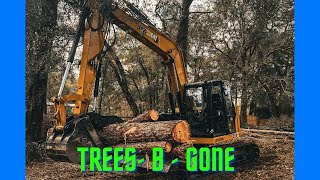 Transforming Land into a Camper's Paradise: CAT 310 & 299D3XE in Action! by The Tree Shop 1,093 views 2 months ago 43 minutes
